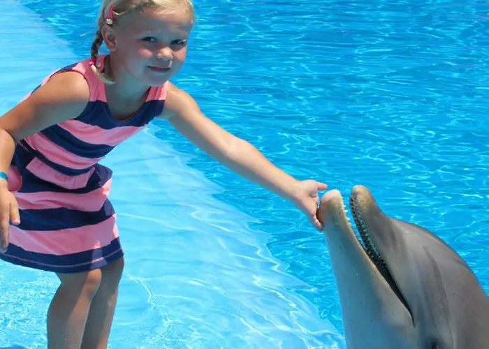 Don Jorge Aptos 2* Benidorm